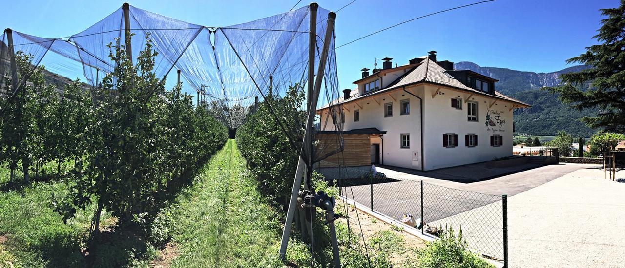 Residence Egger Terlano Exterior photo
